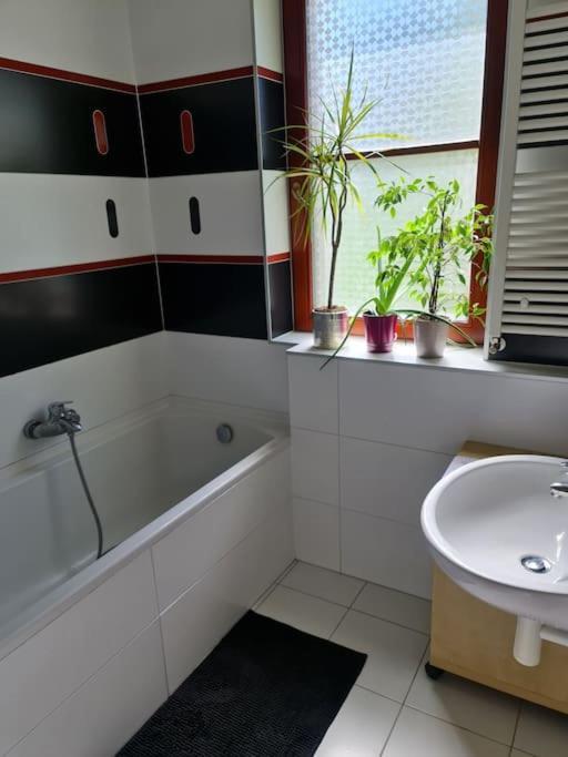 Comfortable Apartment! Praga Exterior foto